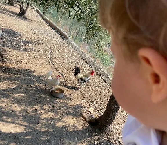 Bed & Breakfast Le Dimore Di Mariuccia 2 Monte Sant'Angelo